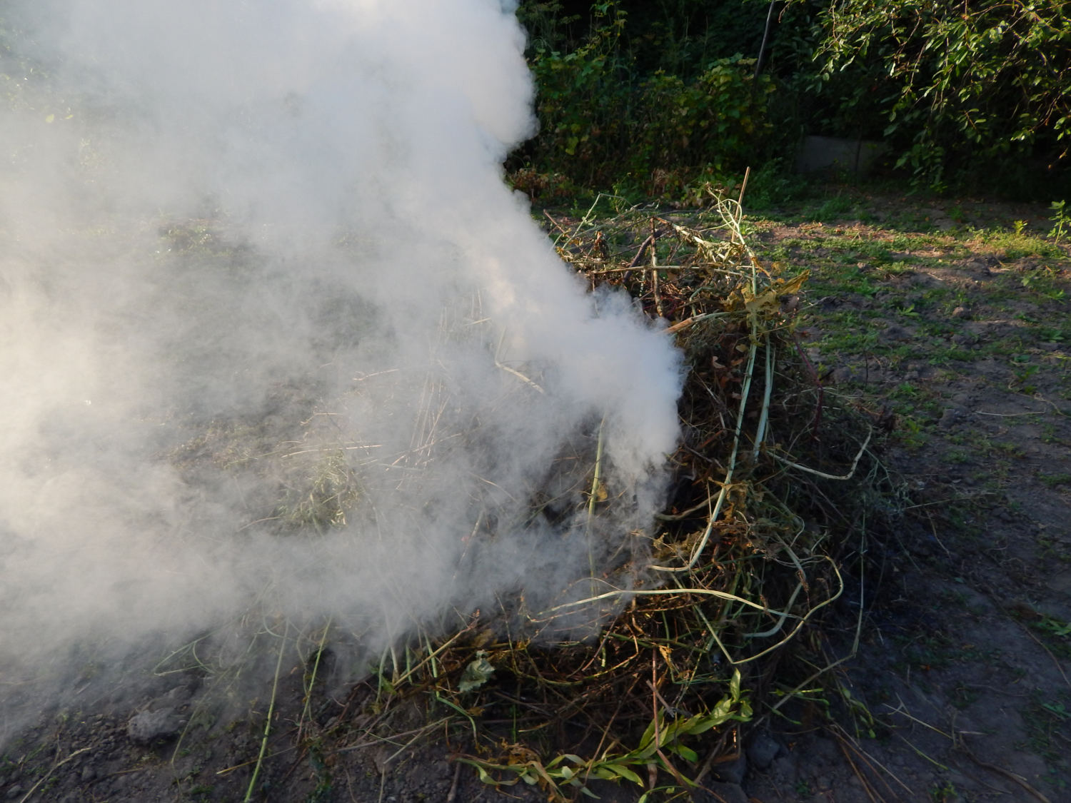 image illustrant l'actualité